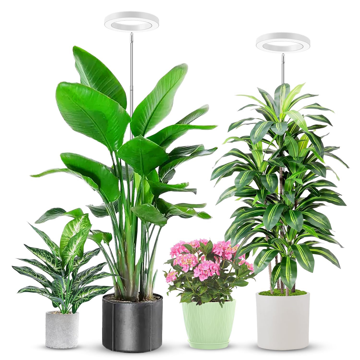Aokrean grow light with compact 6.3-inch footprint for efficient indoor plant lighting.