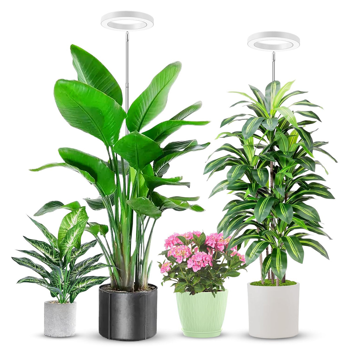 Aokrean grow light with compact 6.3-inch footprint for efficient indoor plant lighting.