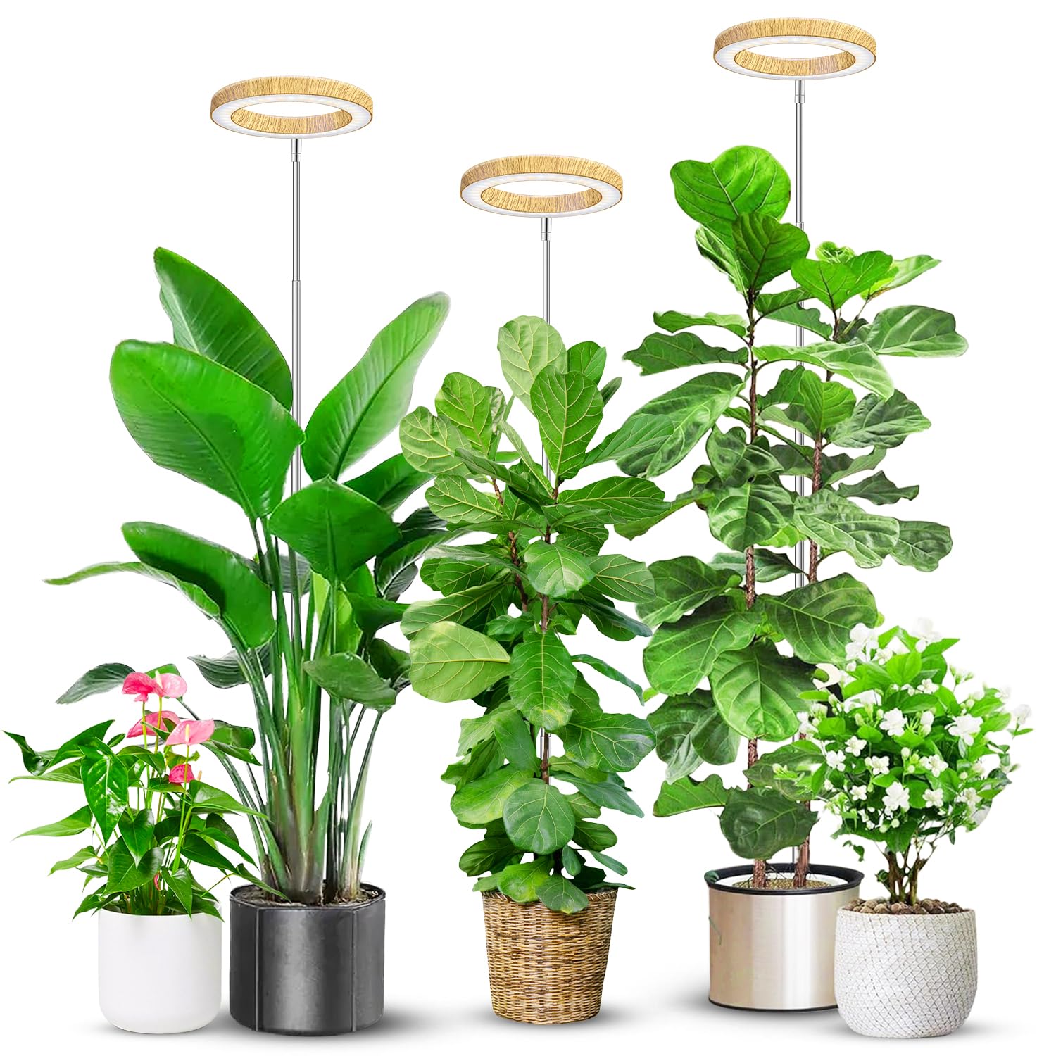 Aokrean grow light with wood-grain ring for durable indoor use and stylish decor.