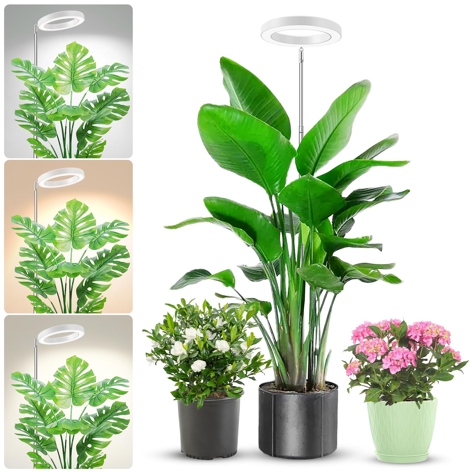 Aokrean Grow Light compact-diameter provides even illumination for seedlings