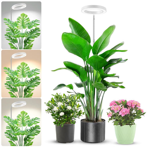 Aokrean Grow Light compact-diameter provides even illumination for seedlings
