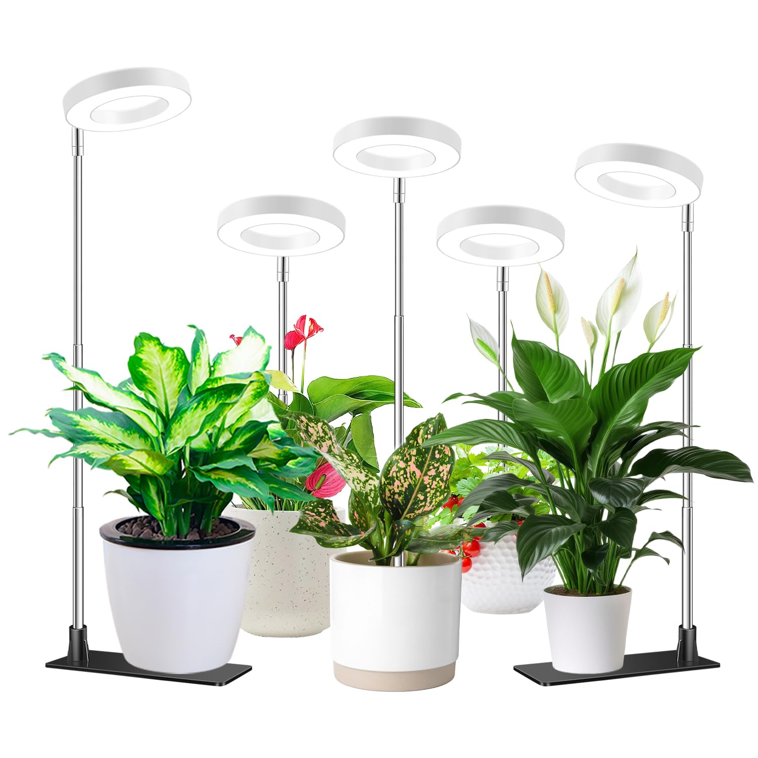 Aokrean Grow Light with halo design and base provides stable indoor lighting for small plants.