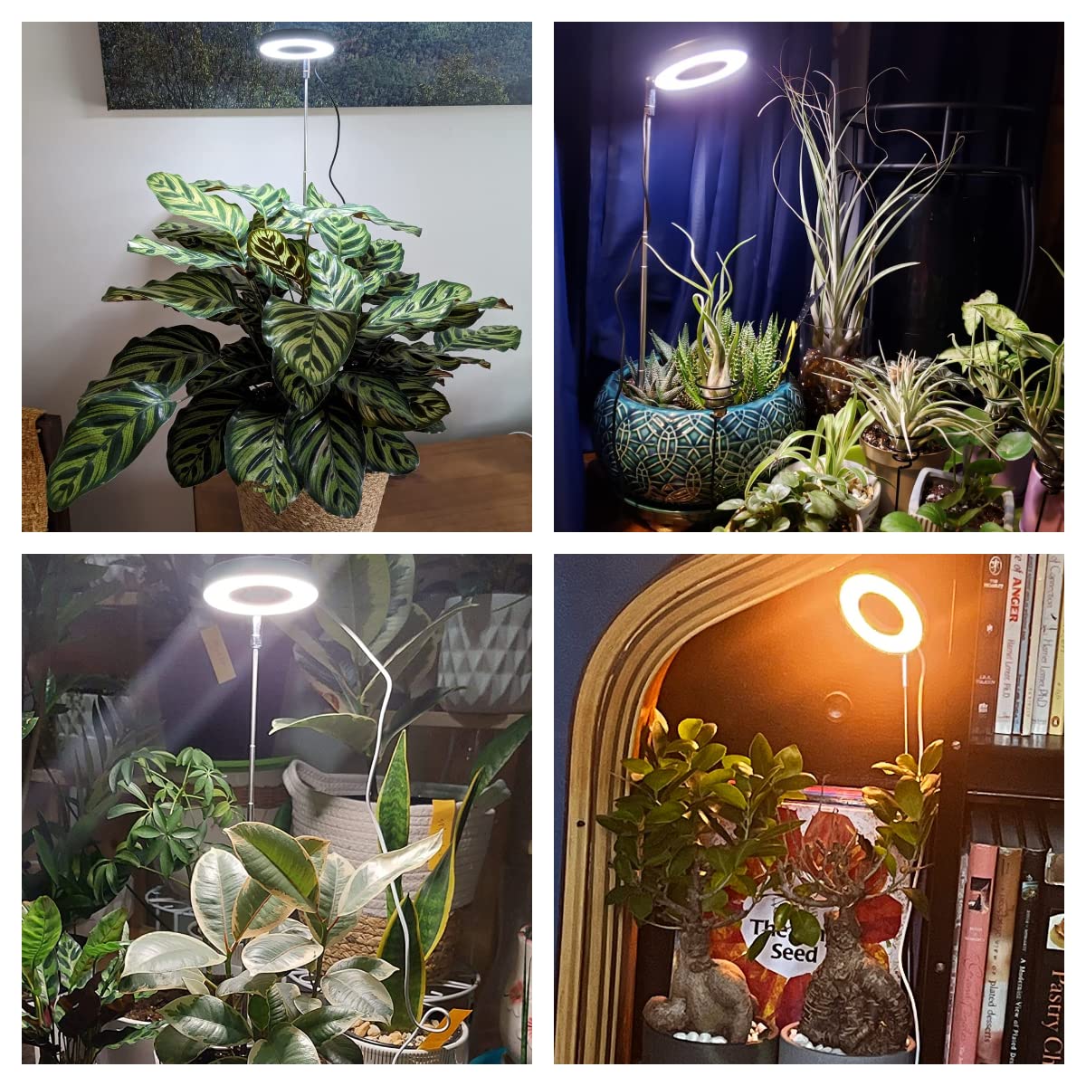 Aokrean grow light with three spectrums for versatile plant care