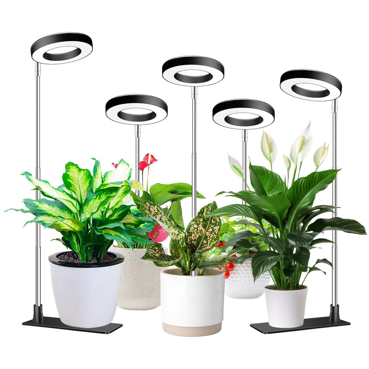 Aokrean Grow Lights full spectrum for indoor plants enhances growth