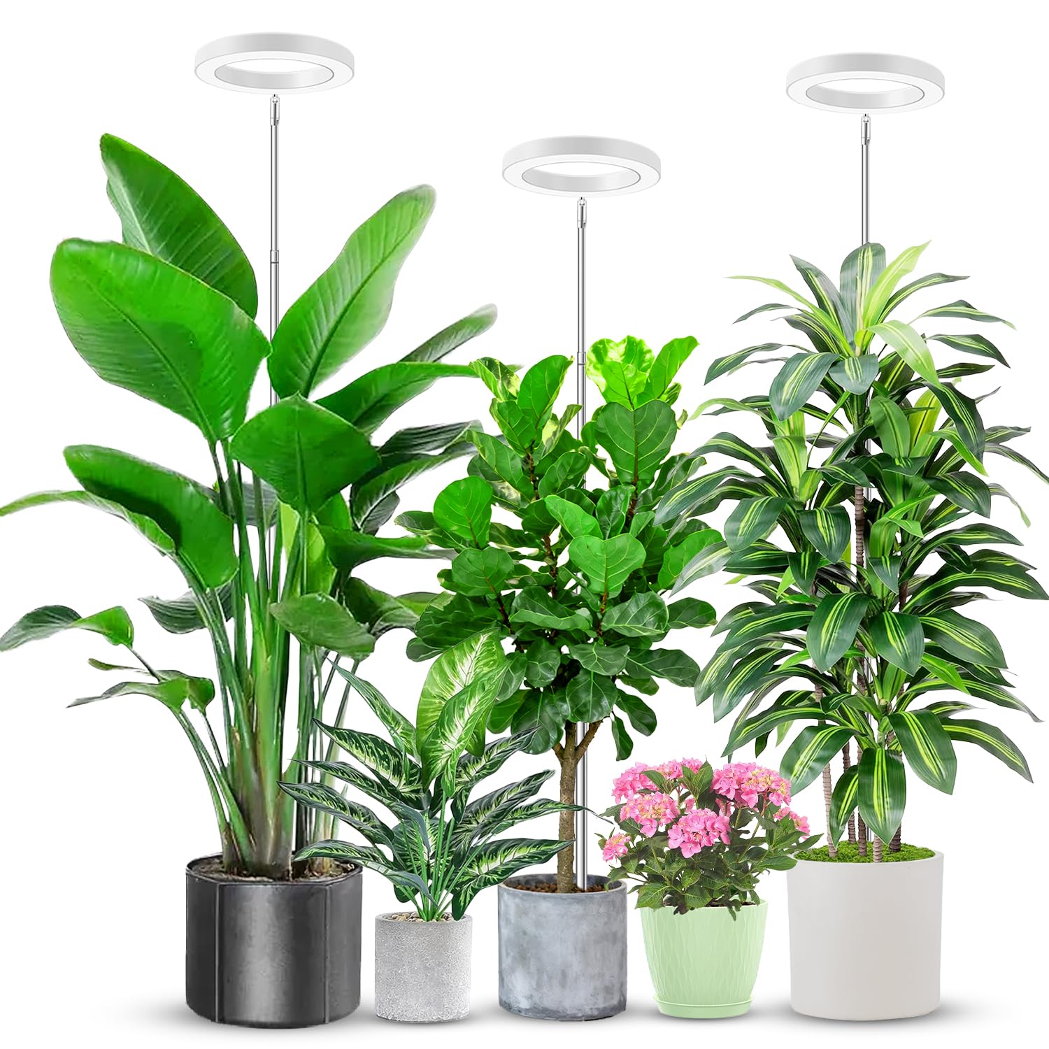Aokrean halo grow light compact 6.3-inch design ideal for seedlings and small setups