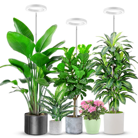 Aokrean halo grow light compact 6.3-inch design ideal for seedlings and small setups