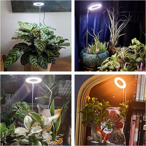 Aokrean halo grow light with height-adjustable pole directing light precisely
