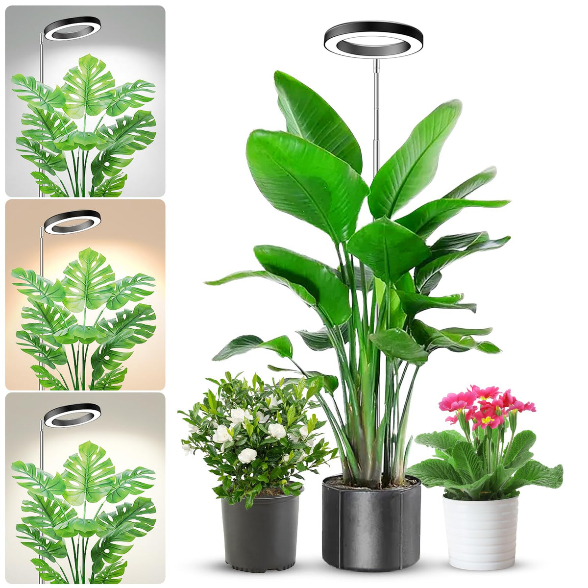 Aokrean Plant Grow Light with full spectrum aids seedling health and leafy greens.