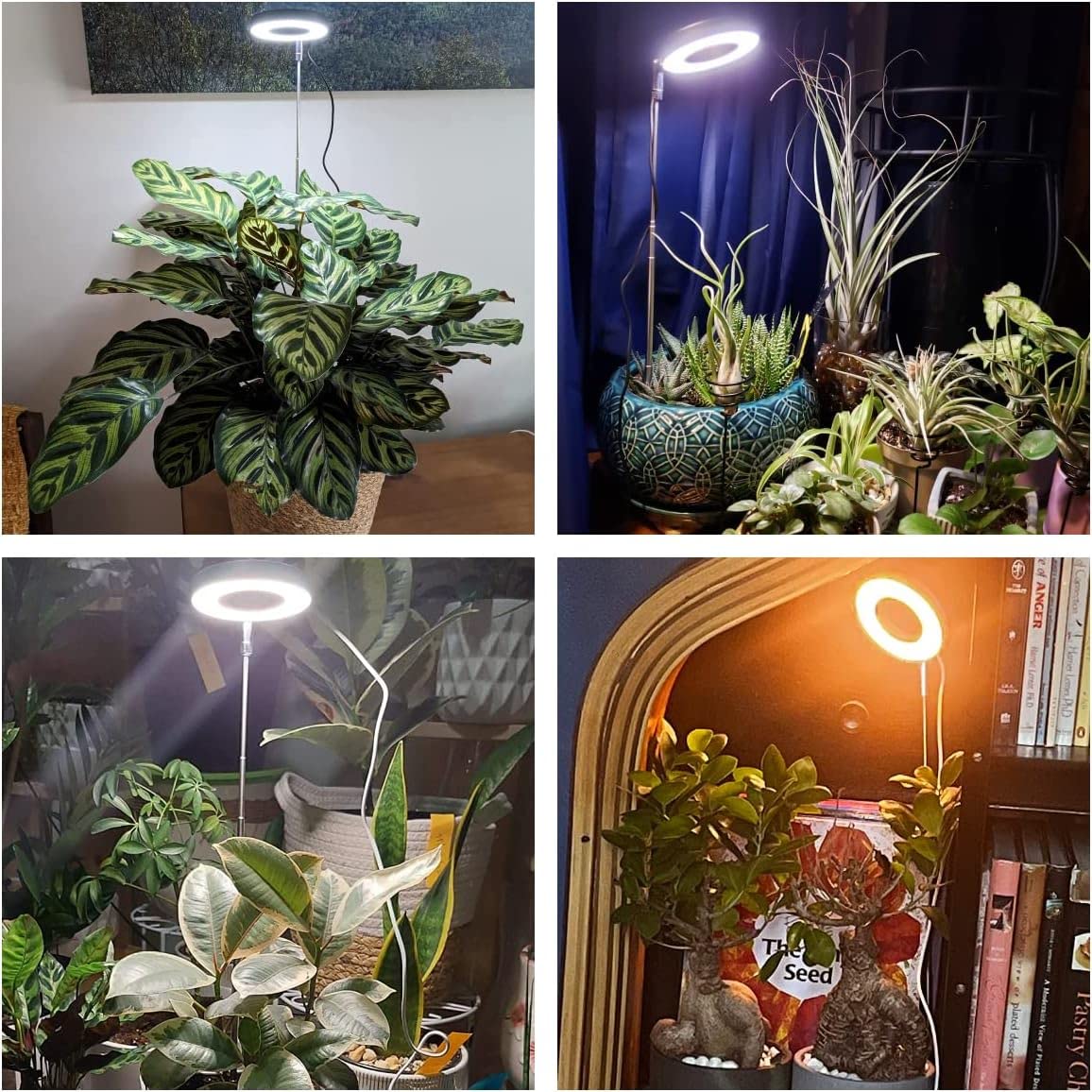 Aokrean grow light height adjustment enabling precise light on small plants