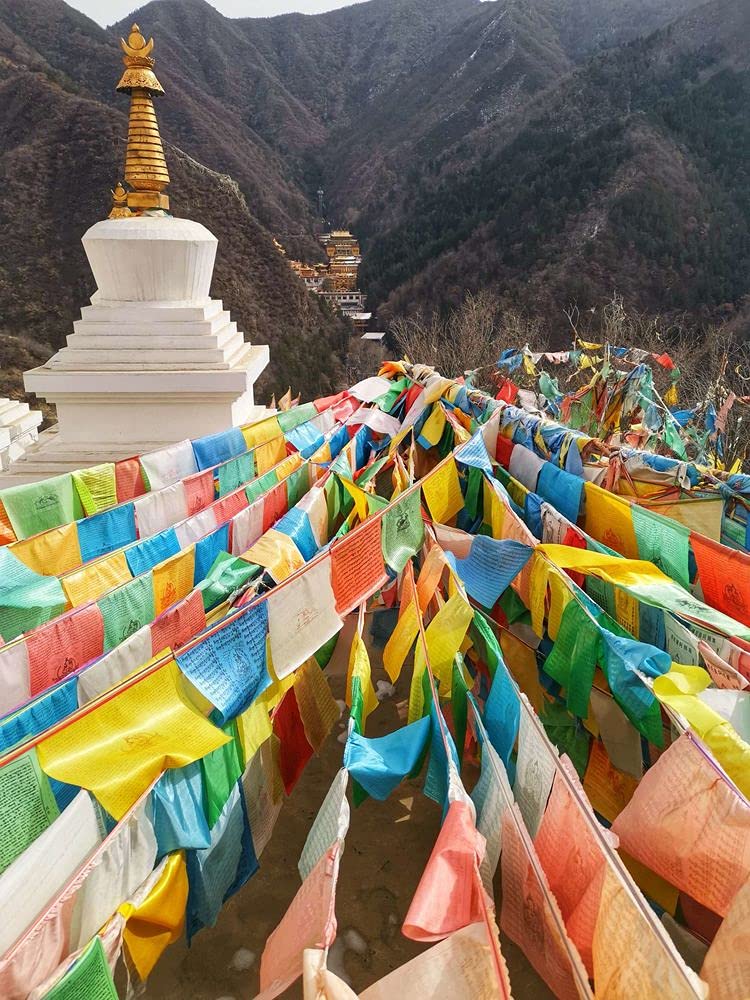 Aolamegs 120-piece set makes a thoughtful gift for peace and wisdom themes