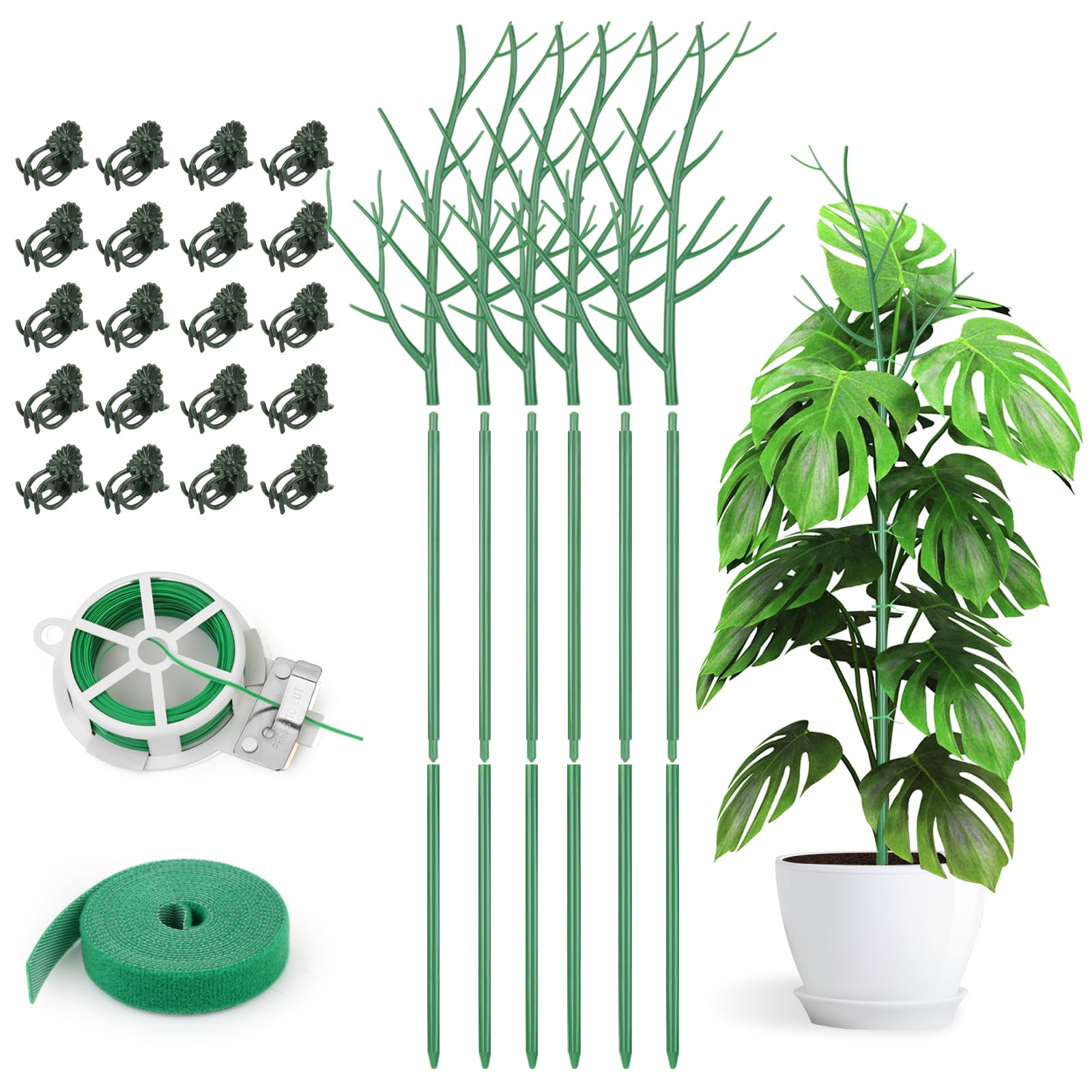AOM 6-pack Twig plant stakes discreetly support Monstera in a pot.
