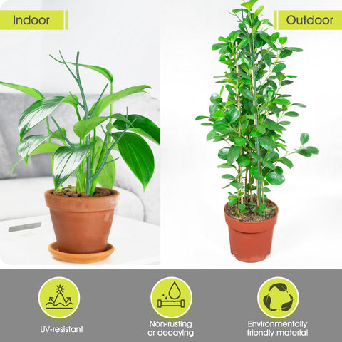 AOM indoor-outdoor plant kit keeps climbers tidy and stylish.