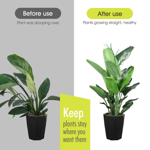 AOM green twist ties offer adjustable, tool-free plant shaping.