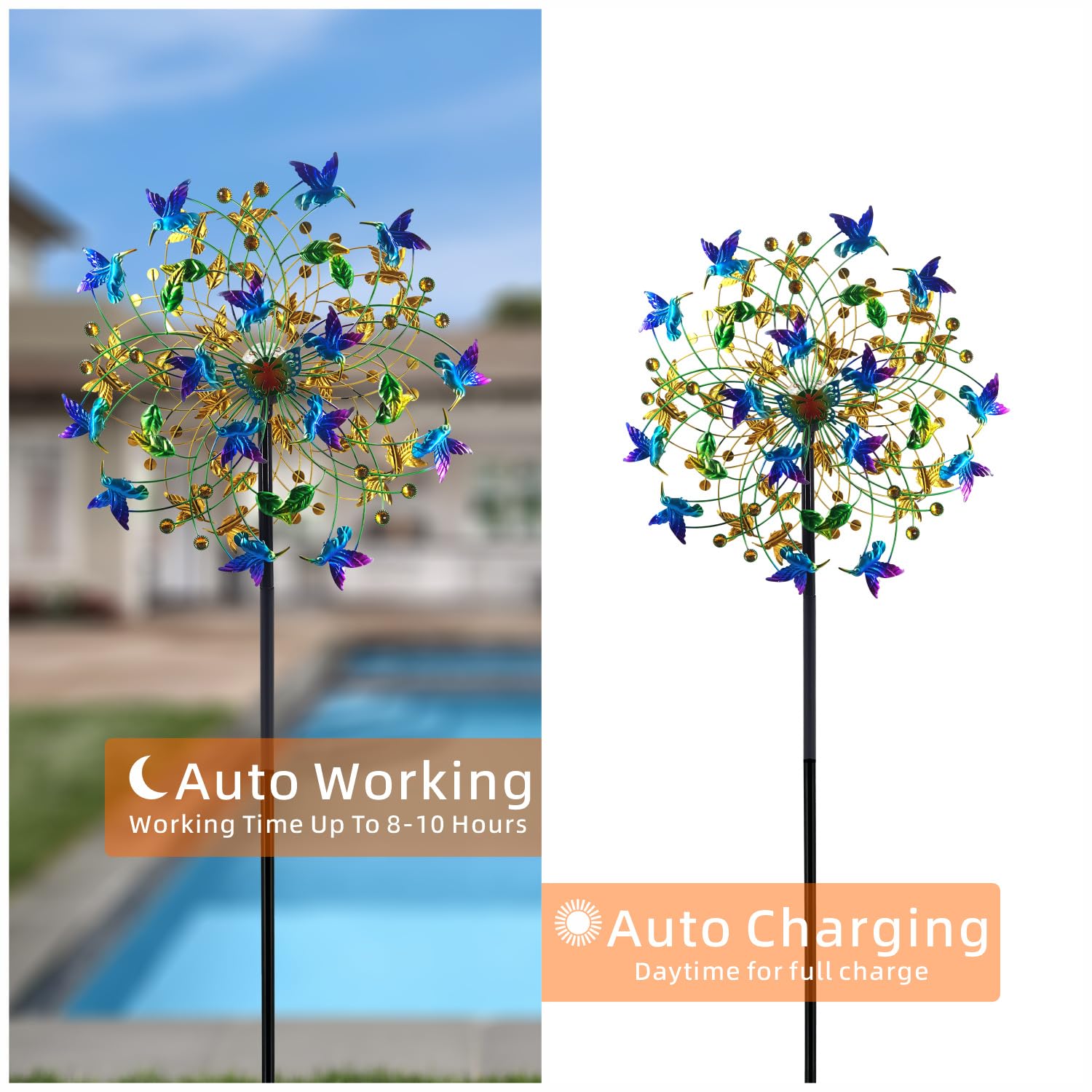 Solar LEDs cycle through six colors after dusk for ambient garden lighting.