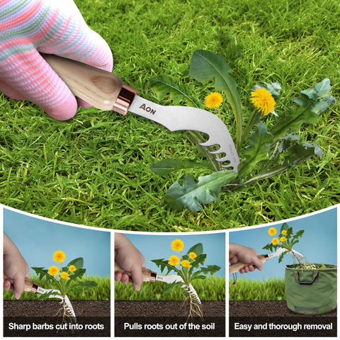 AON curved-tip in action lifting weeds with minimal soil disruption.