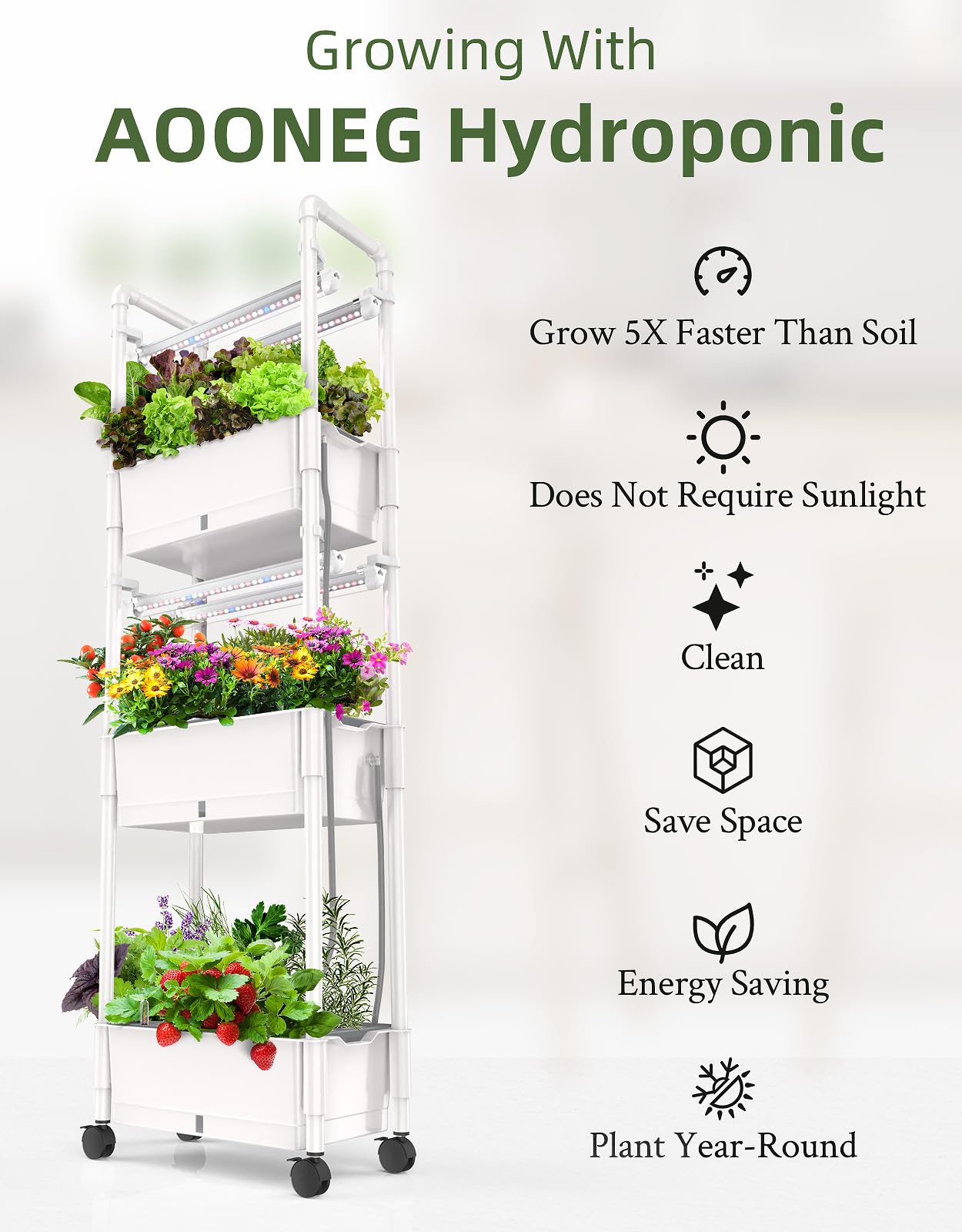 AOONEG automatic timer control panel enabling steady day night cycles