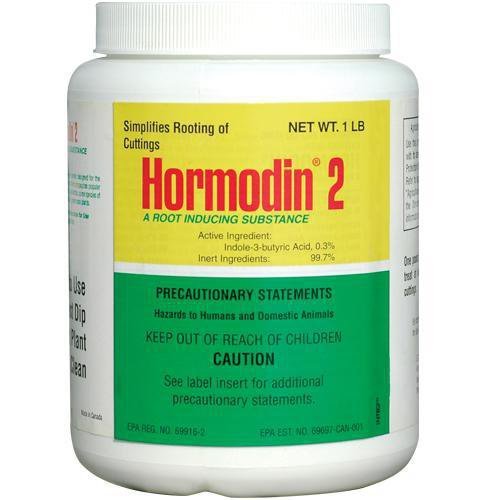 AONELAS Hormodin 2 jar with 0.3% IBA for woody cuttings