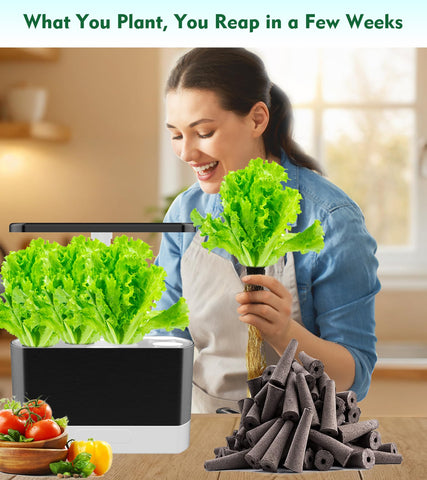 Aooccder dry seed sponges showcase mold-prevention dry state for safe storage