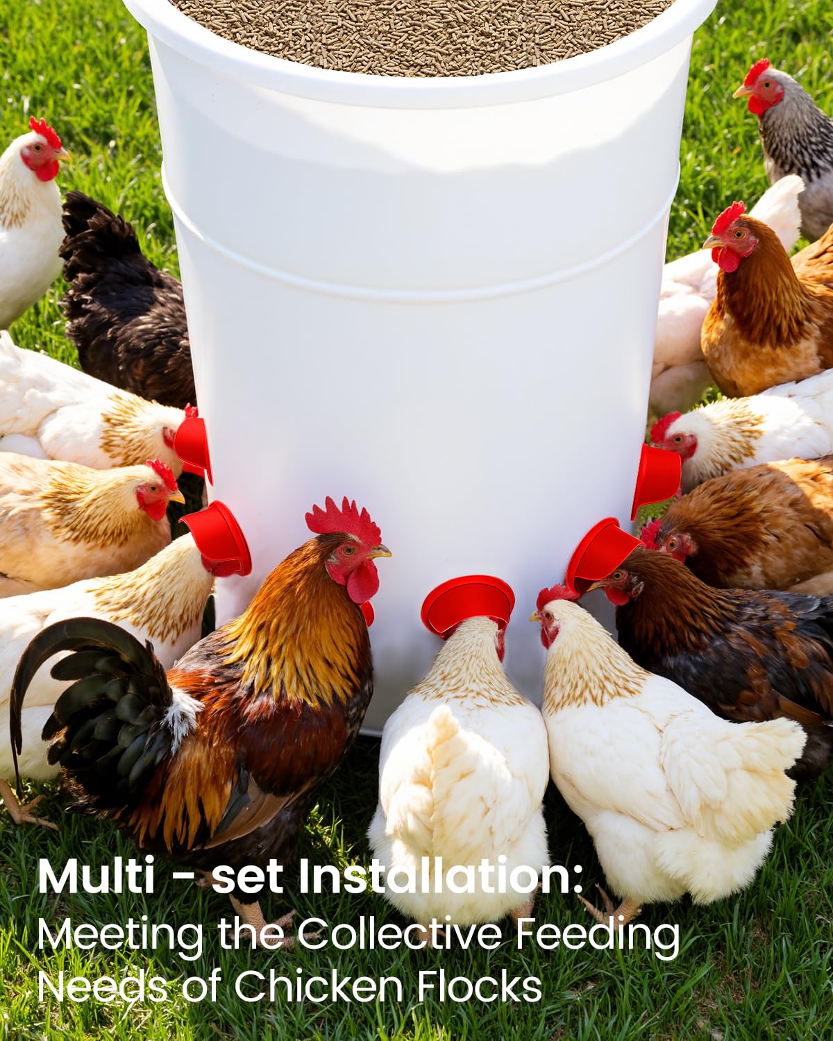 Aopchry rain-proof chicken feeder cover keeps feed dry during storms.