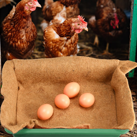 Aoriher nesting pads suitable for gardens, balconies, and pet enclosures for safe use.