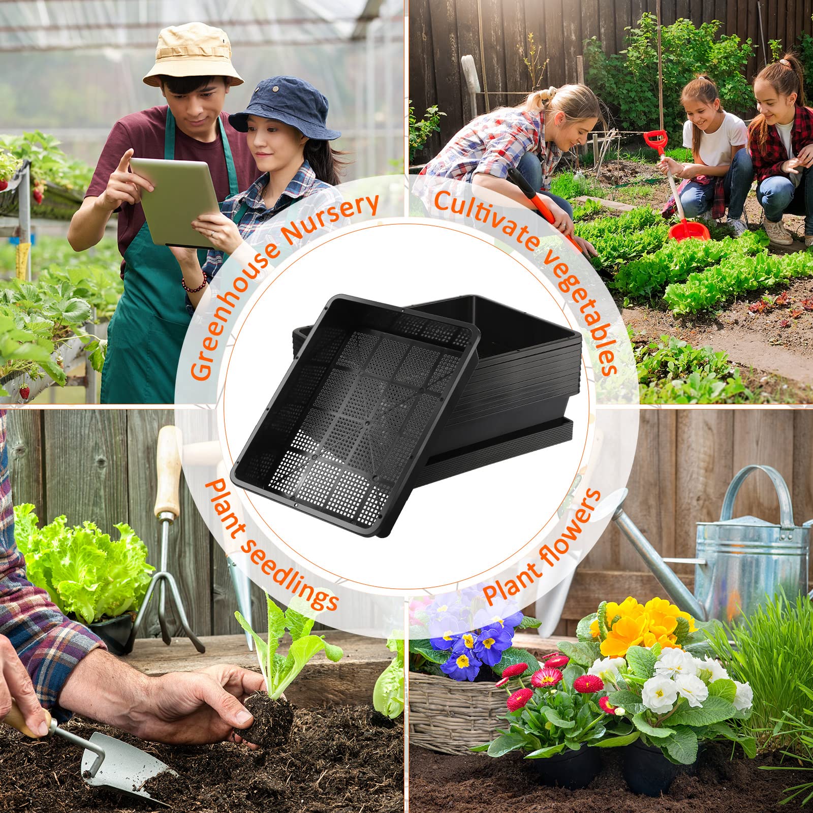 Aoriher durable seedling tray set suitable for indoor and outdoor use.