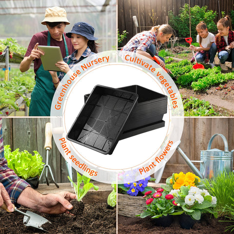 Aoriher durable seedling tray set suitable for indoor and outdoor use.