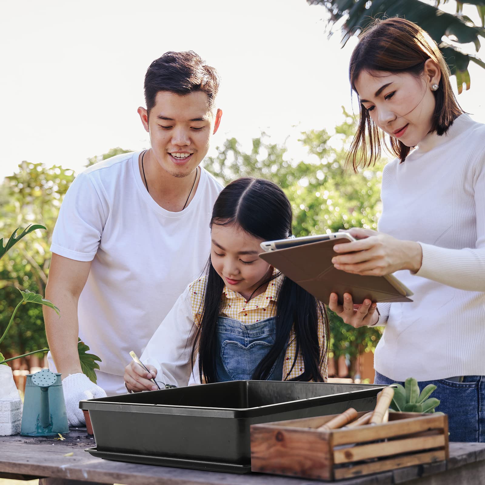 Aoriher microgreen seed trays support rapid, compact growth on a countertop.
