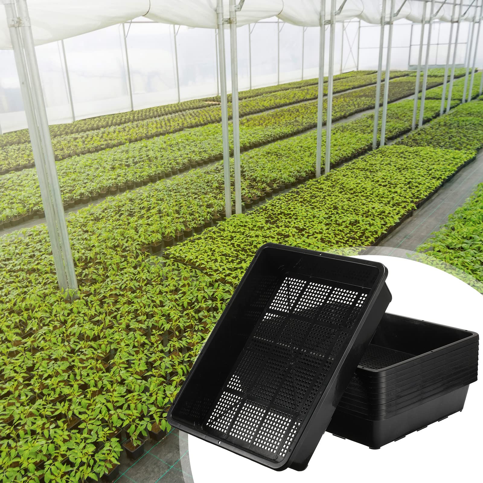 Aoriher plastic propagation trays are sturdy and odor-free for long-term use.