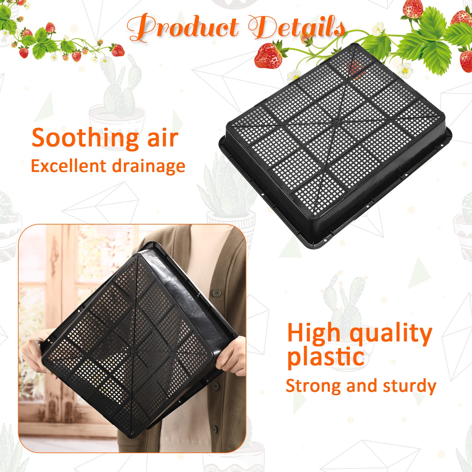 Aoriher seed starting trays kit includes mesh and solid trays for propagation.
