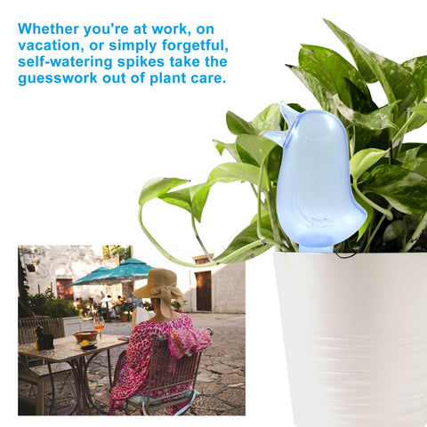 Aoserge easy-refill bird-spout design minimizes spills during watering
