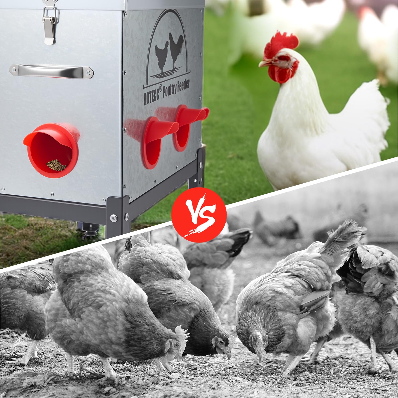 AOTECC metal chicken feeder height stand adds comfortable feeding height.