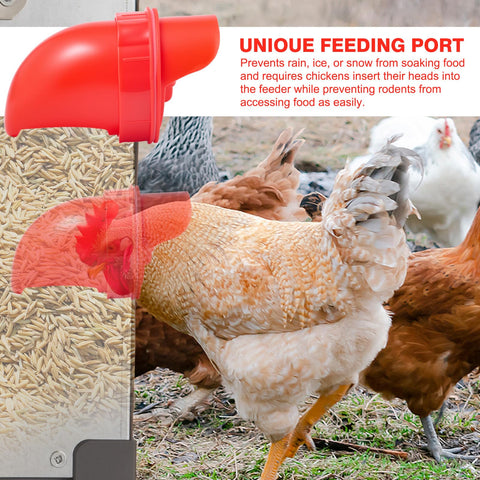 AOTECC metal chicken feeder rodent-proof lid prevents unwanted intruders.