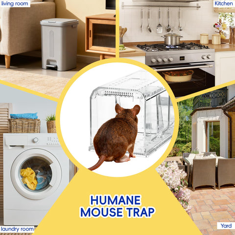 AOVSTOXIC live trap captures mice safely for release in outdoor areas.