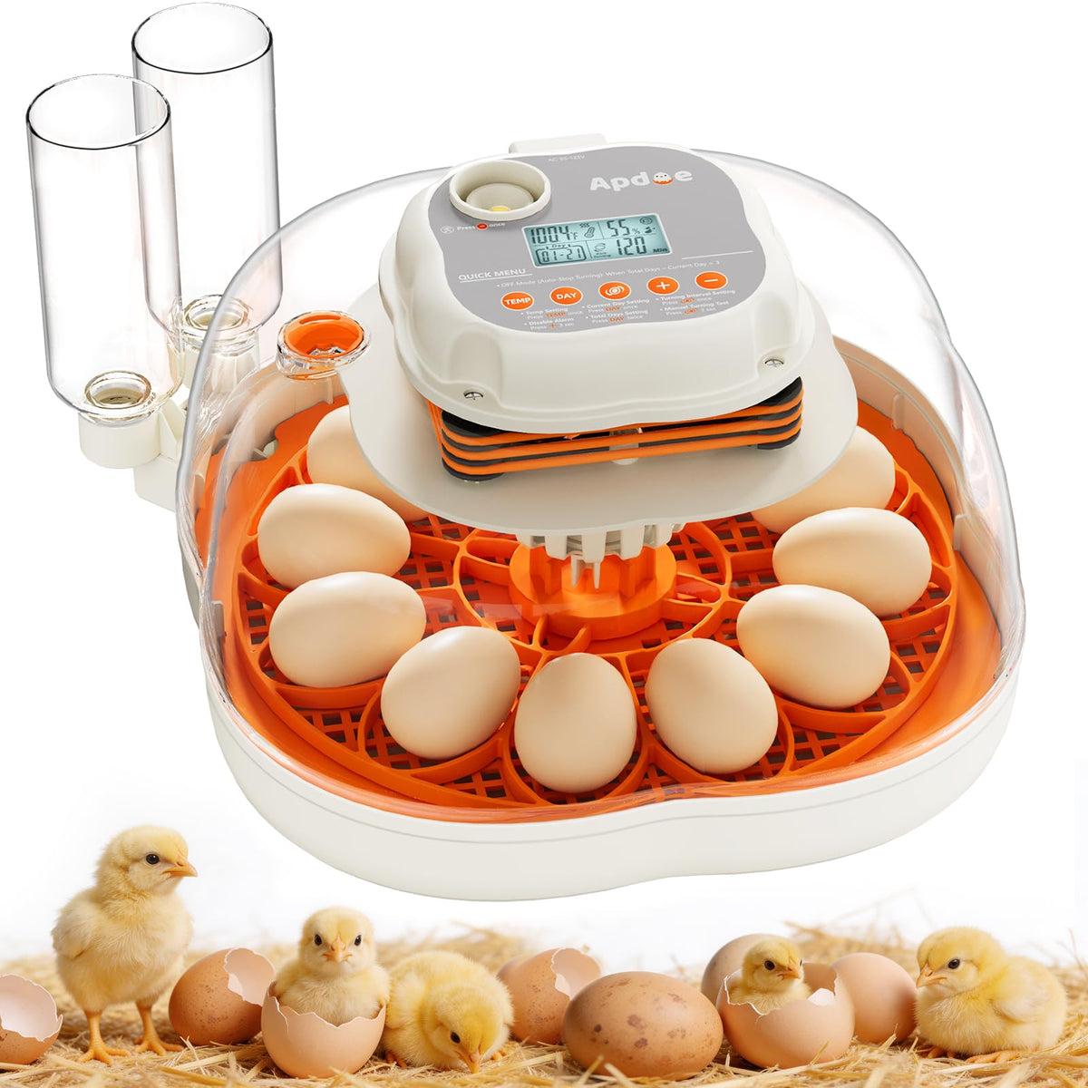 Apdoe HatchElite 12 two-egg trays provide stable placement for chicken and quail eggs.