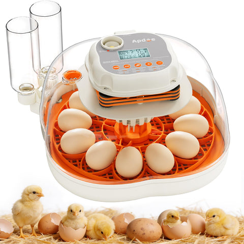 Apdoe HatchElite 12 two-egg trays provide stable placement for chicken and quail eggs.