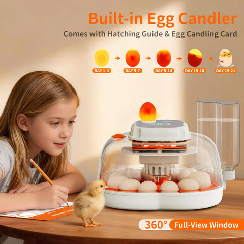 Apdoe HatchElite built-in egg candler with 360° view aids embryo monitoring.