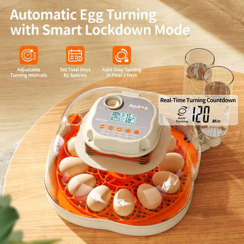 Apdoe HatchElite lockdown feature ensures safe, predictable hatching during final days.
