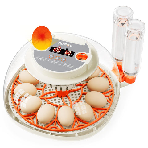 Apdoe HatchPro 12 360° dome view for easy egg monitoring.