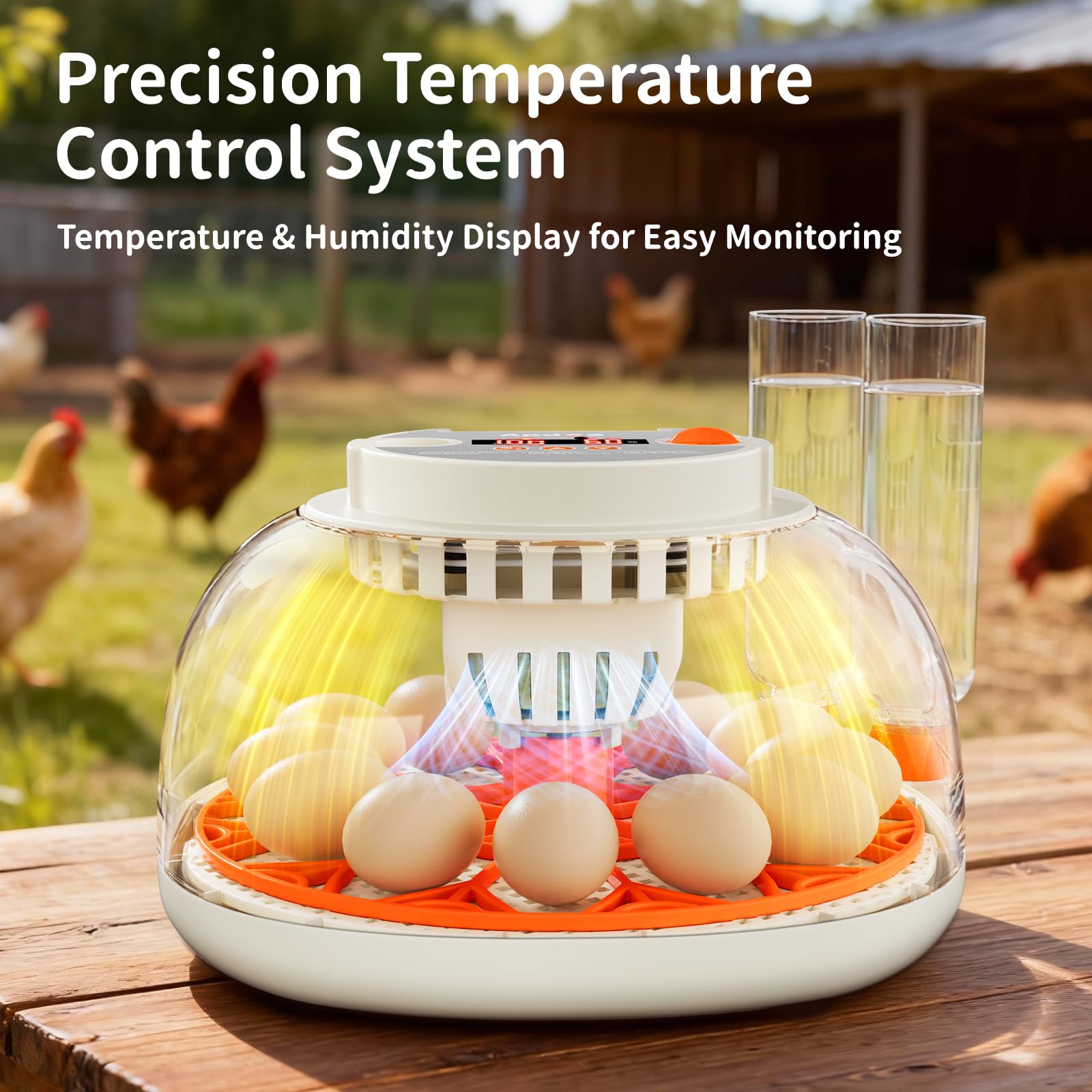 Apdoe HatchPro 12 built-in egg candler for quick embryo checks.