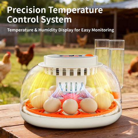 Apdoe HatchPro 12 built-in egg candler for quick embryo checks.