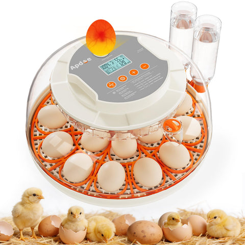 Apdoe HatchPro 18 incubator front view showing compact size and dual trays for versatility
