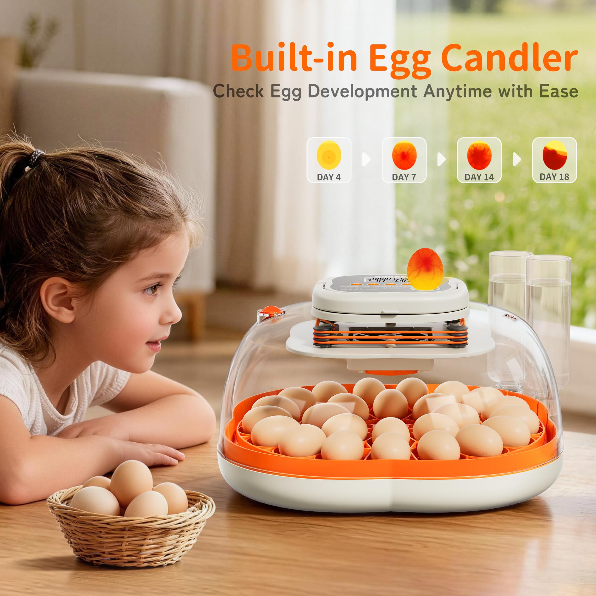 Apdoe HatchPro 25 built-in candling helps monitor embryo progress.