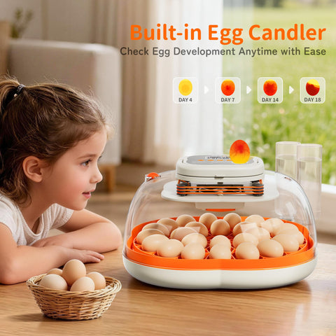 Apdoe HatchPro 25 built-in candling helps monitor embryo progress.