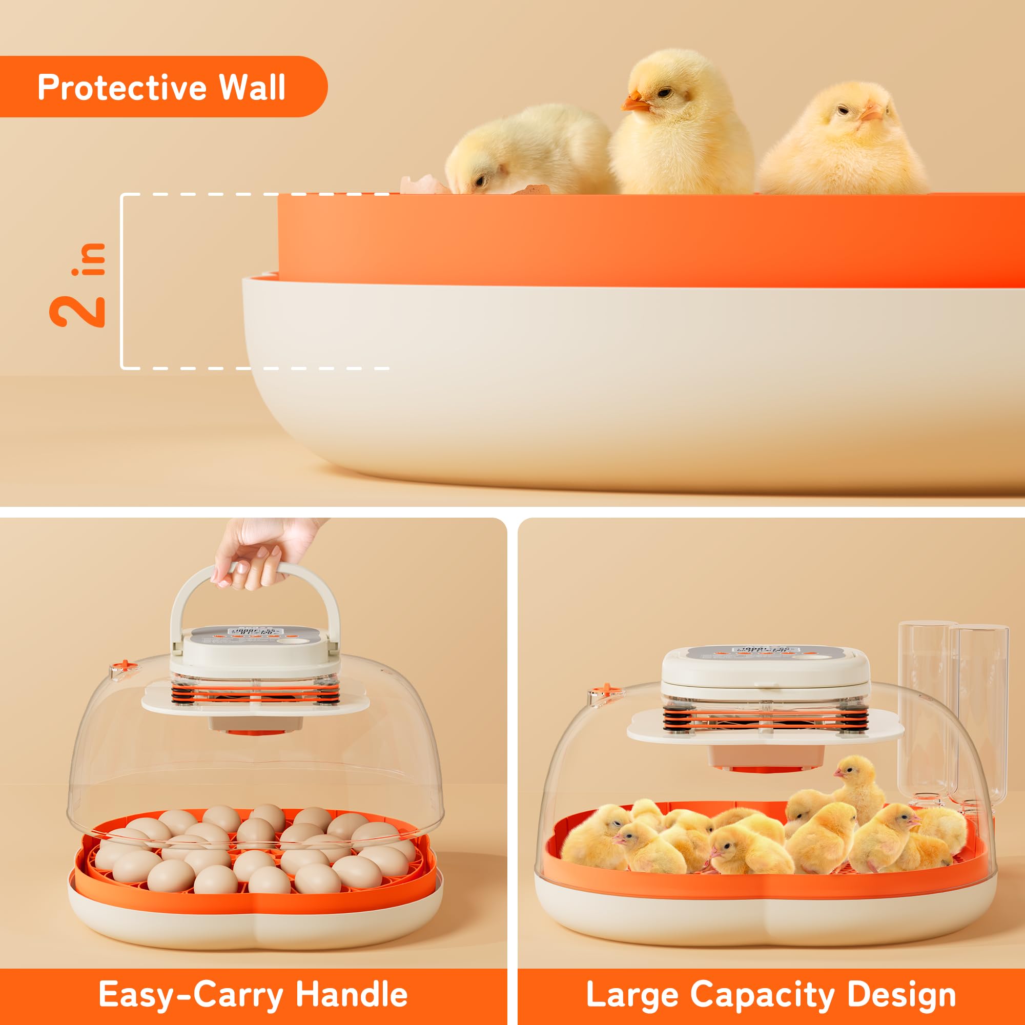 Apdoe HatchPro 25 high walls protect chicks during hatching.