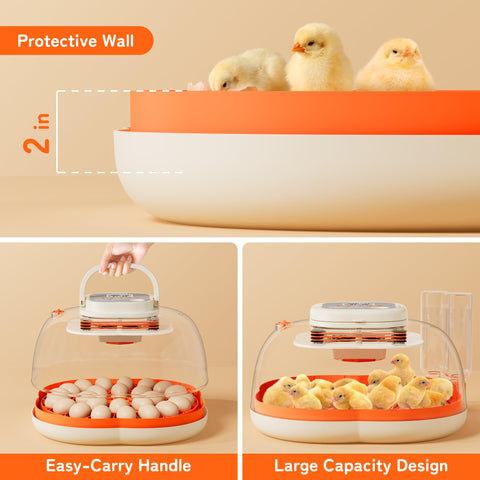 Apdoe HatchPro 25 high walls protect chicks during hatching.