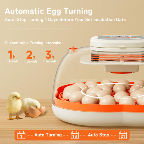 Apdoe HatchPro 25 incubation display shows days, temp, and humidity at a glance.