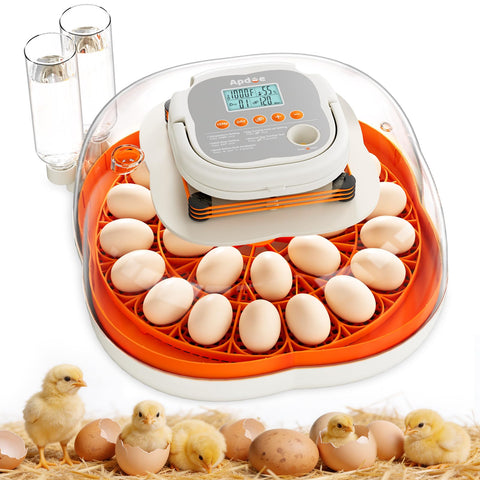 Apdoe HatchPro 25 interior space provides room for comfortable chick movement.
