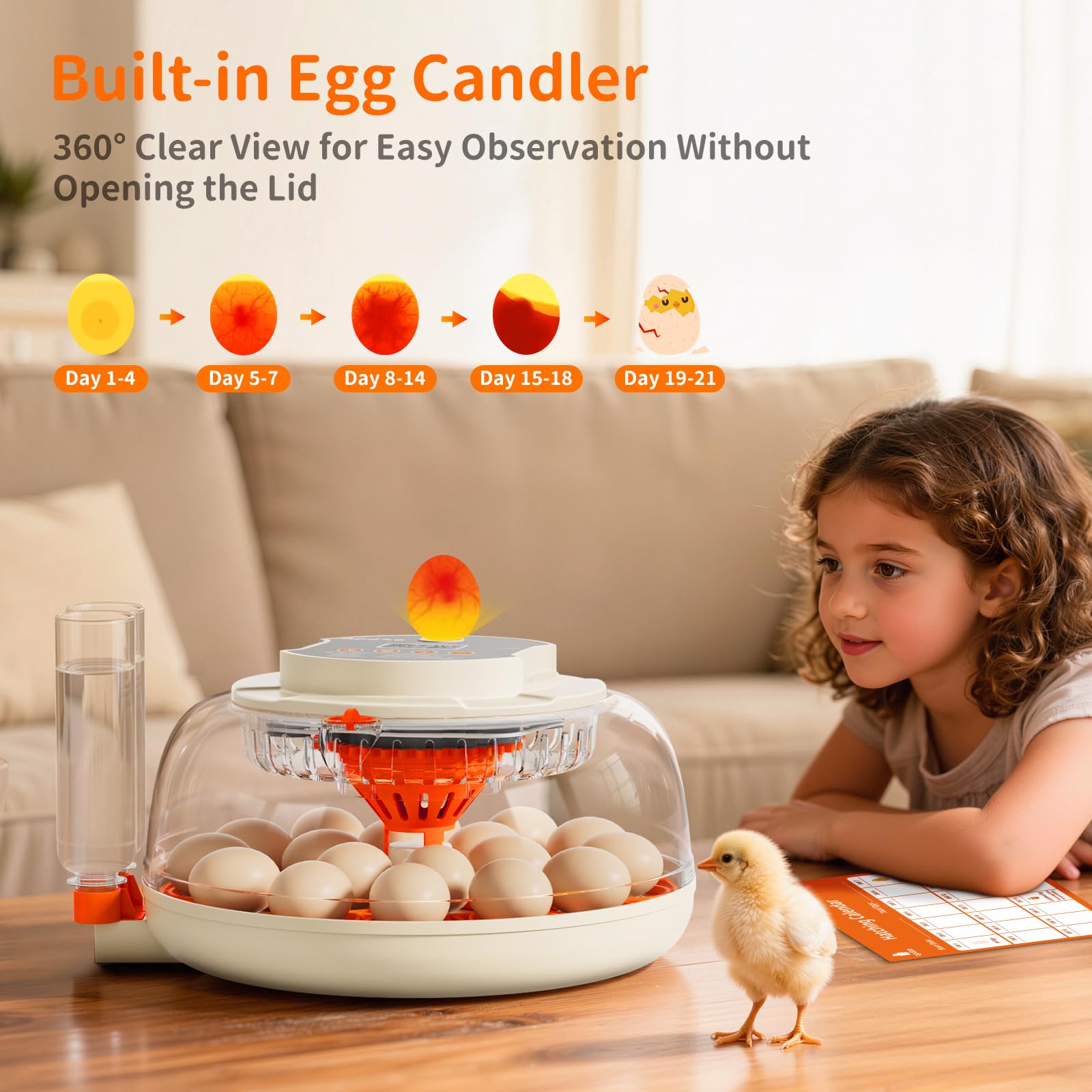 Apdoe HatchPro 360° lid and built-in candler for easy embryo monitoring