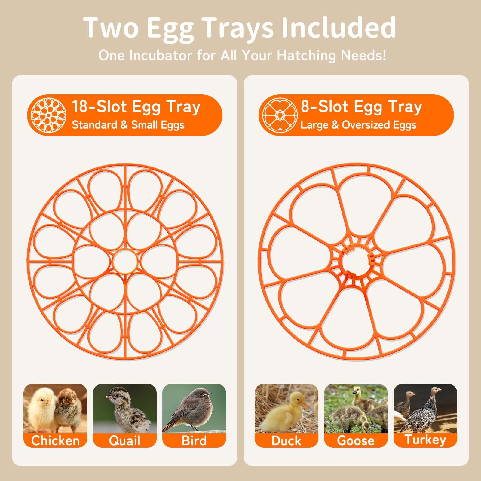 Apdoe HatchPro dual trays for small and large eggs in one unit