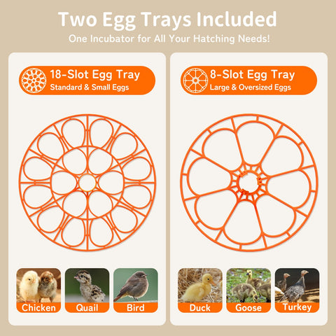 Apdoe HatchPro dual trays for small and large eggs in one unit
